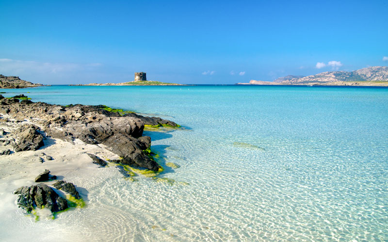 VIAGGIO IN SARDEGNA DA CAPO CACCIA ALL'ASINARA - TOUR + SOGGIORNO